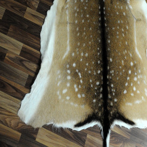 XXXL ÖKO Damhirschfell Hirsch Fell 140x105 Deer #3625